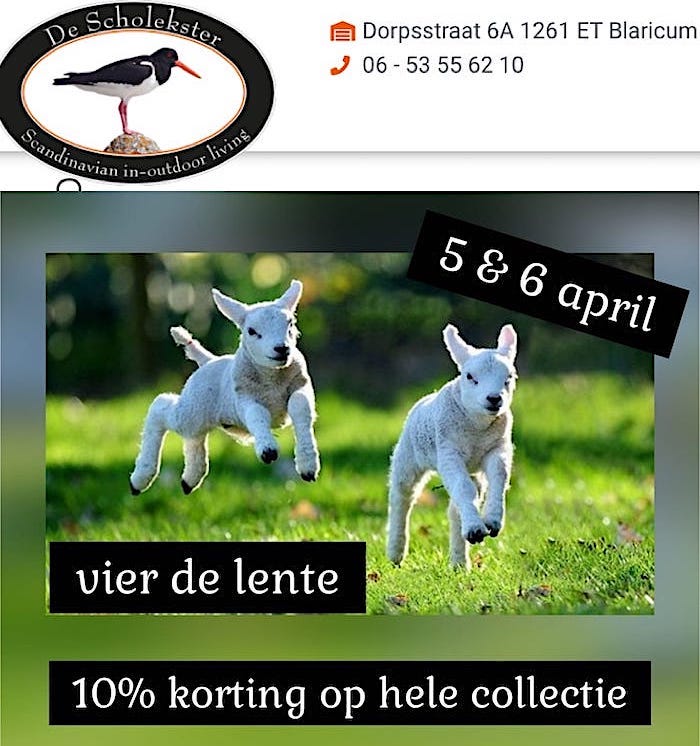 scholekster lammen