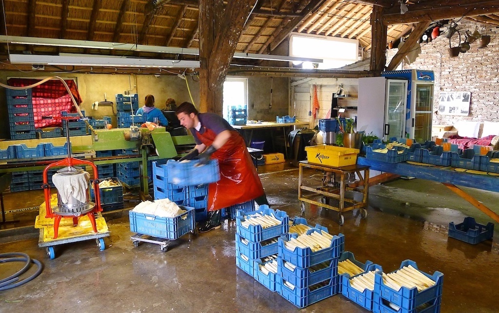 aspboerderij30meibkl.jpg kopie