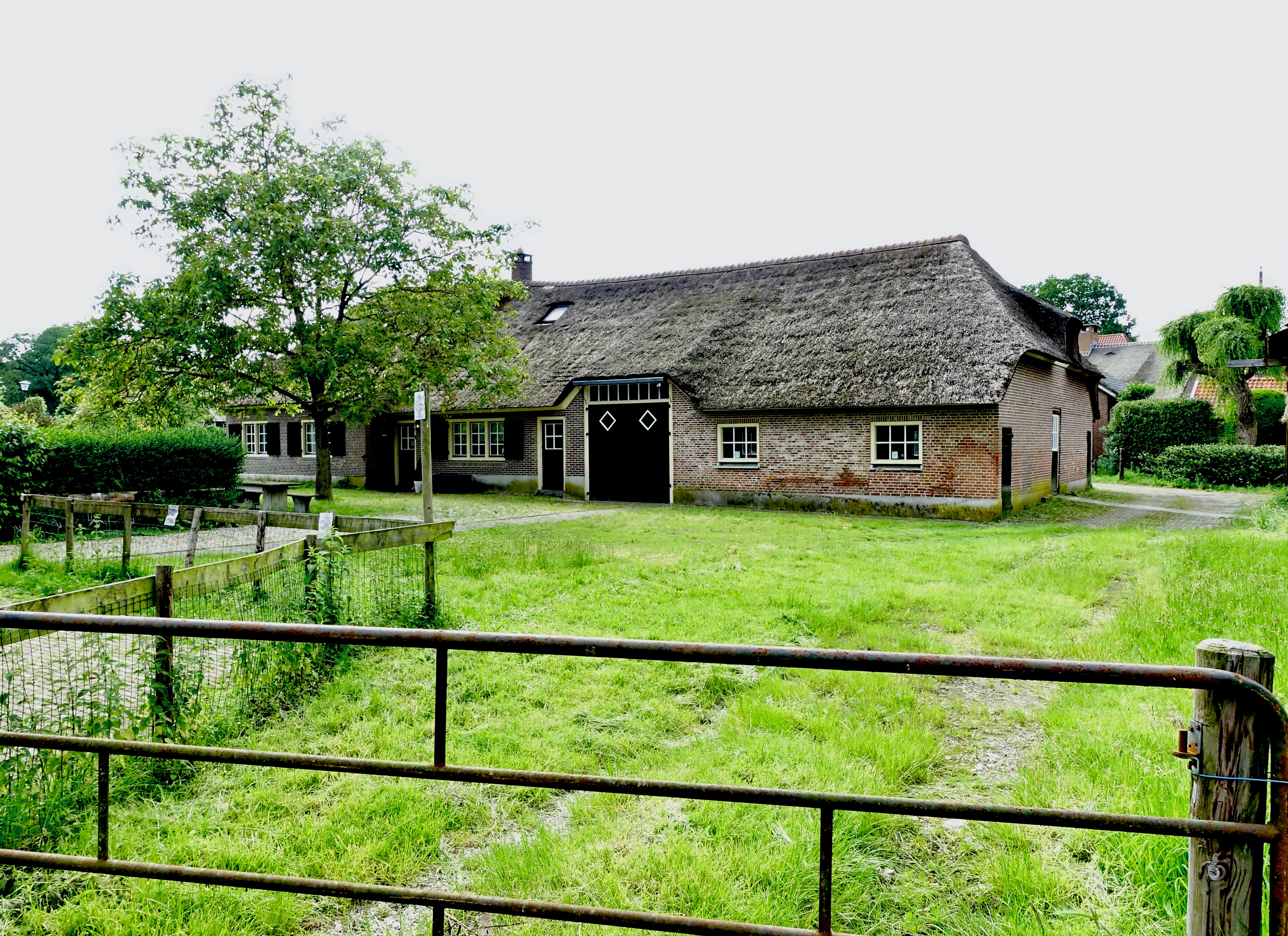 asp boerderij - 1