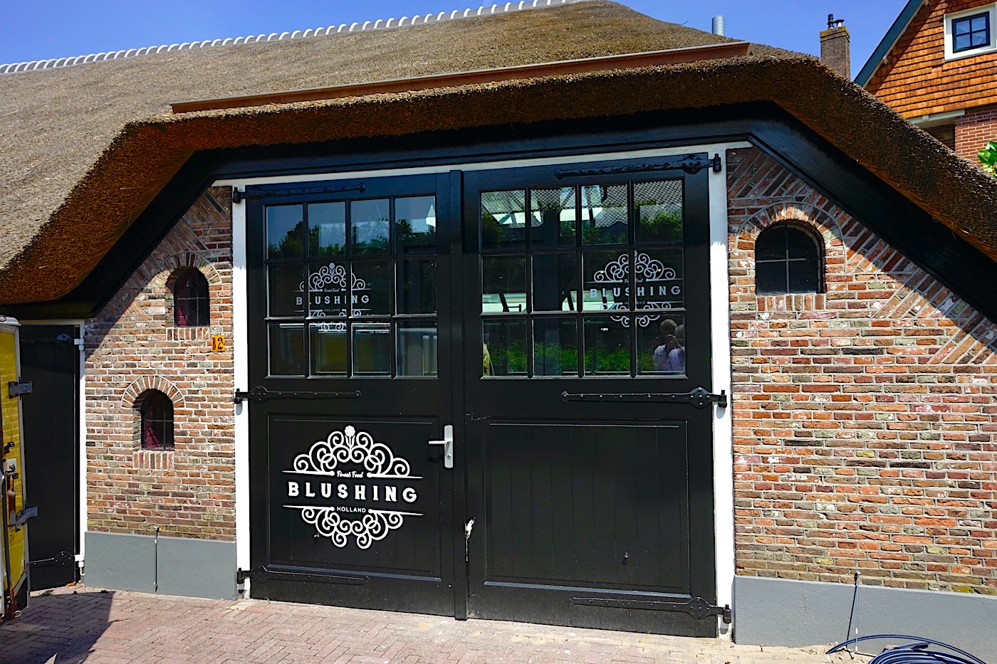 blushing 27.6.24 - 1 (1)