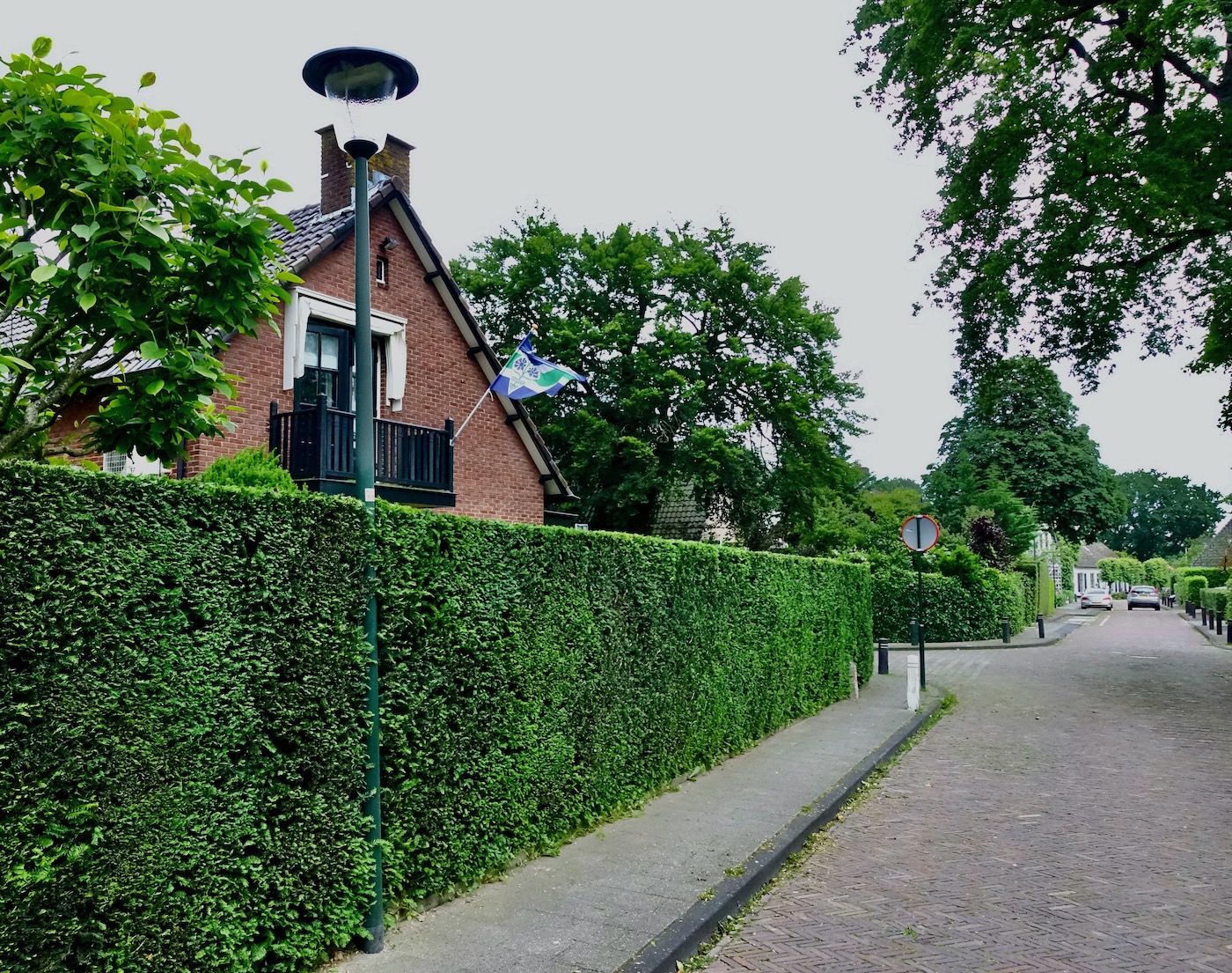 heg lantaarnpaal - 1