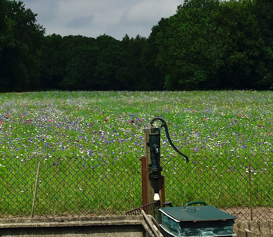 bloemeneng pomp 2 - 1