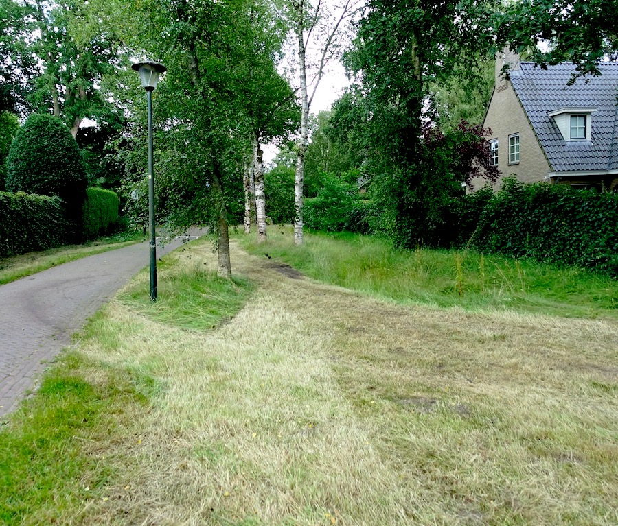 maaikunsten bierwegpdj - 1