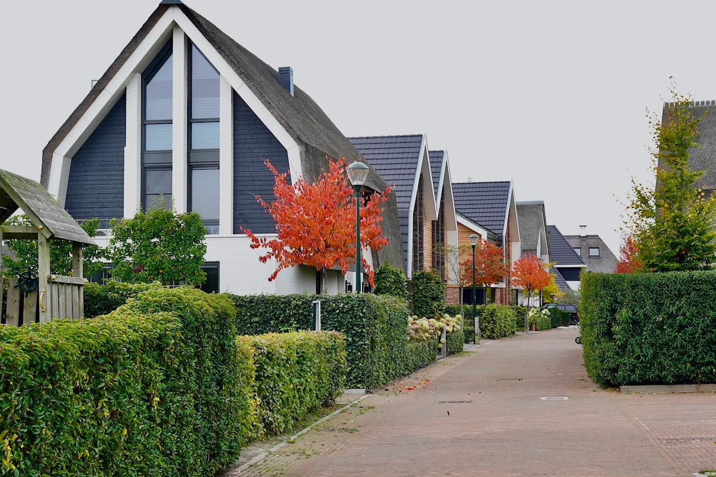 meent herfstkleur - 1