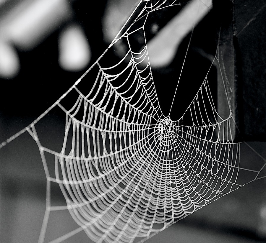 web bw1 - 1
