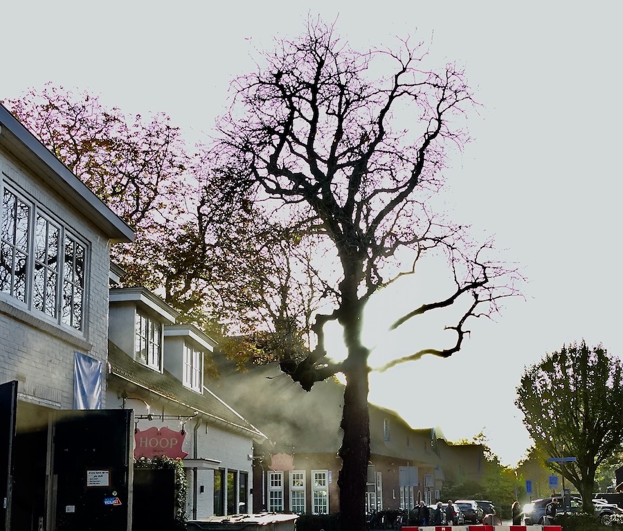 boom hoop backlight2 - 1