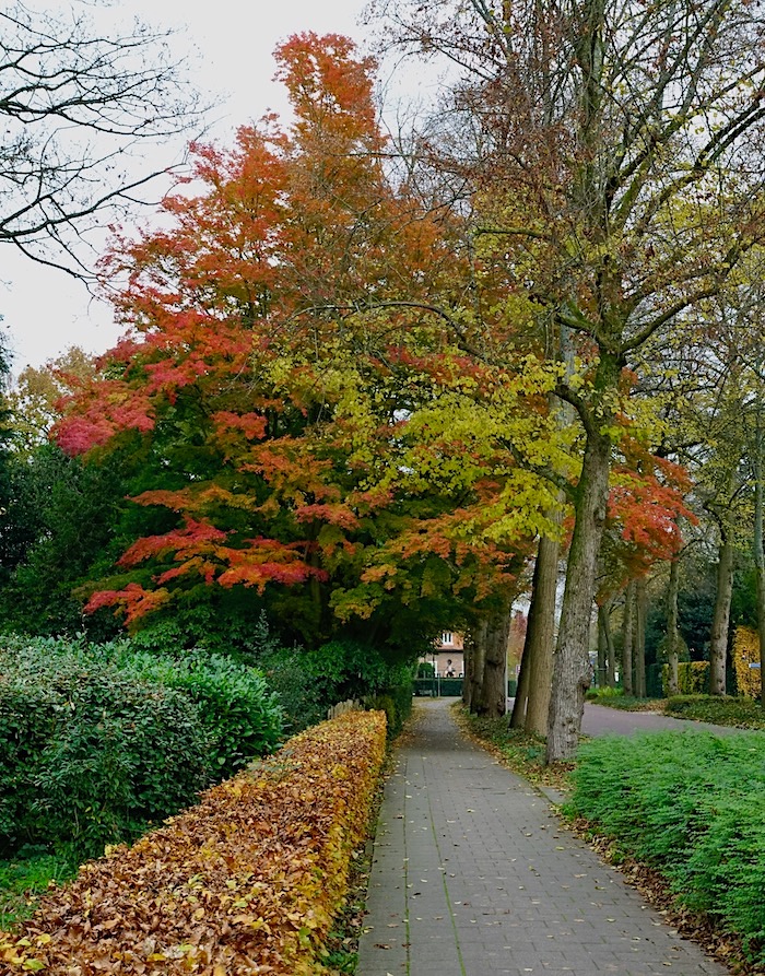 fietspad torenln - 1