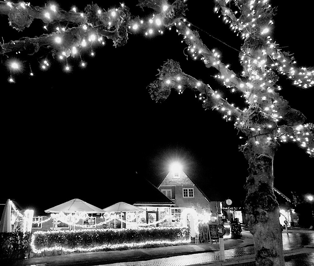 lampjes boom blush bw - 1 (1)