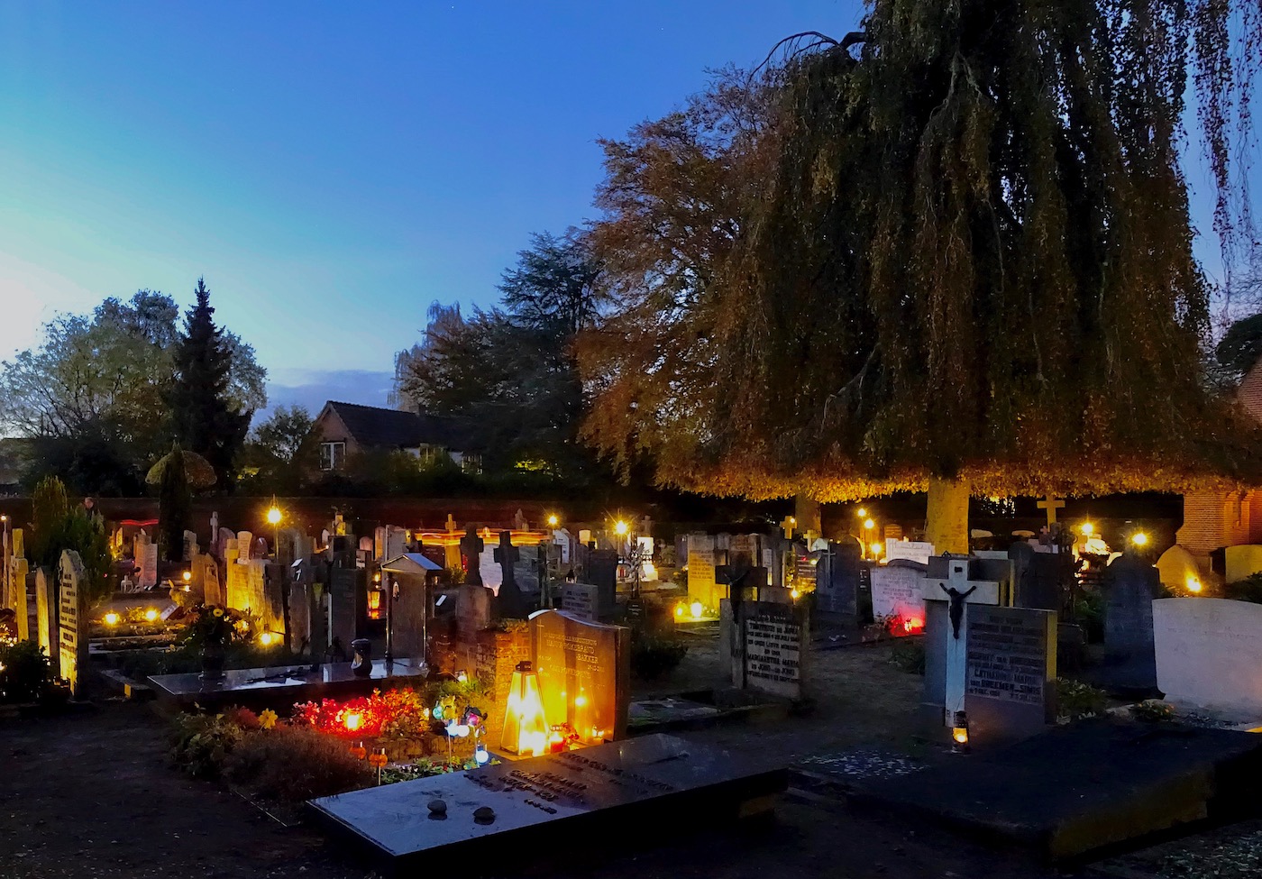 vitus allerzielen2 - 1