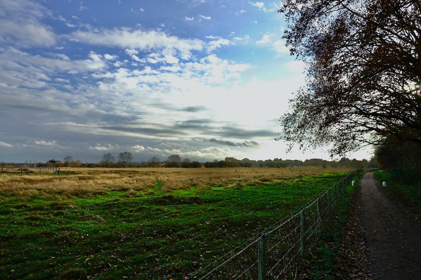 woensberg harde wolken - 1