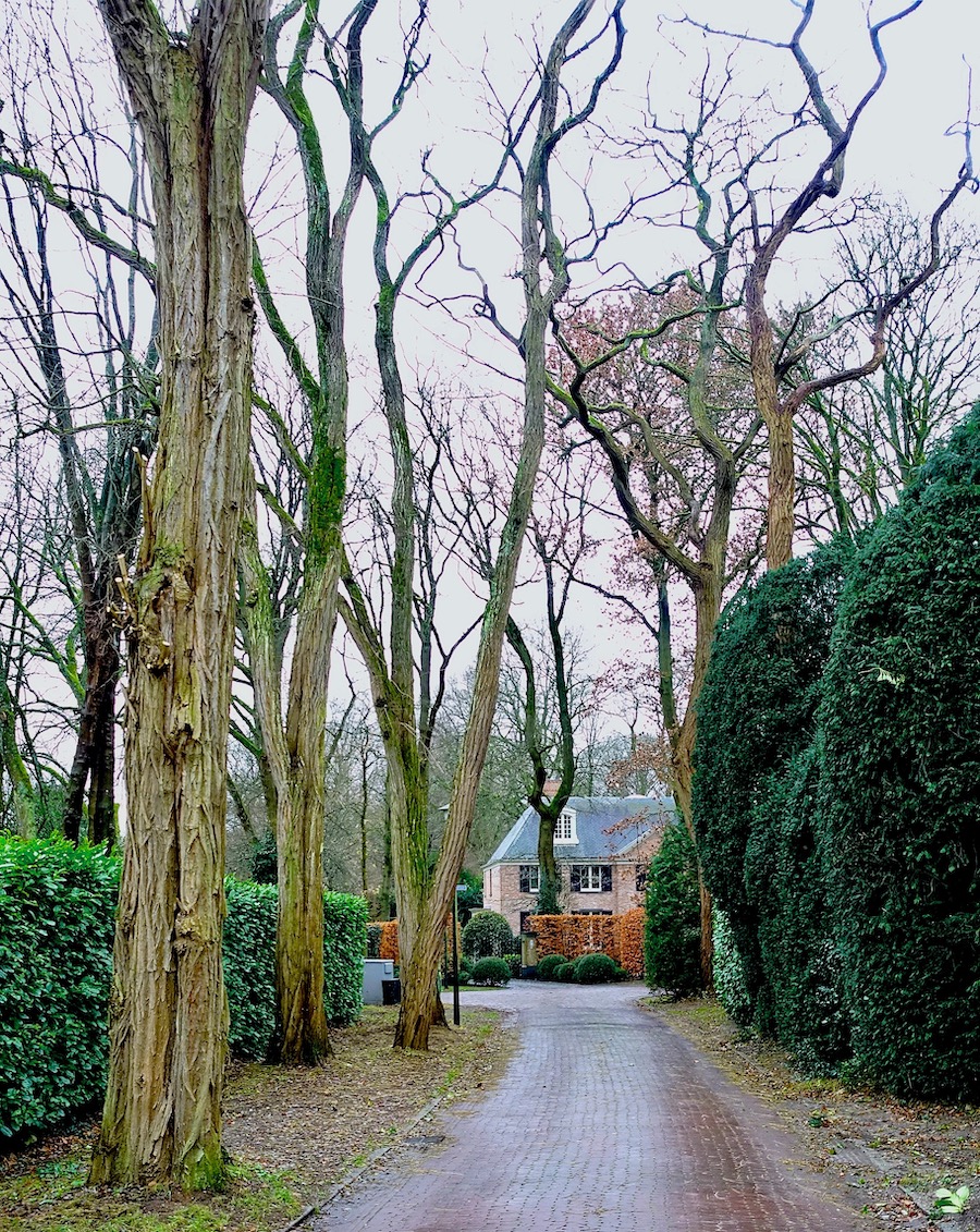 doorkijk belle epoque - 1