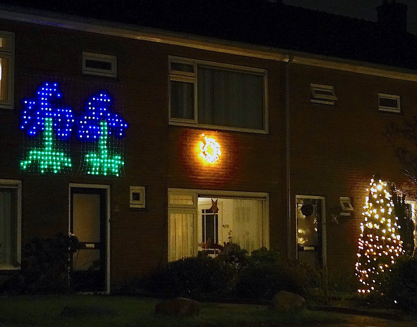 korenbloemlichtjes - 1
